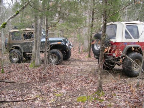 1999 Jeep TJ - Two modified Jeeps are parked in a wooded area, with one partially obscured by trees.