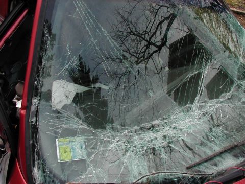 1997 Ford Taurus - The windshield of a red vehicle is heavily cracked, obscuring the interior and reflecting tree branches.