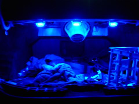 2000 Ford Taurus - The trunk interior is illuminated by blue LEDs, with a white plastic crate visible on the right.