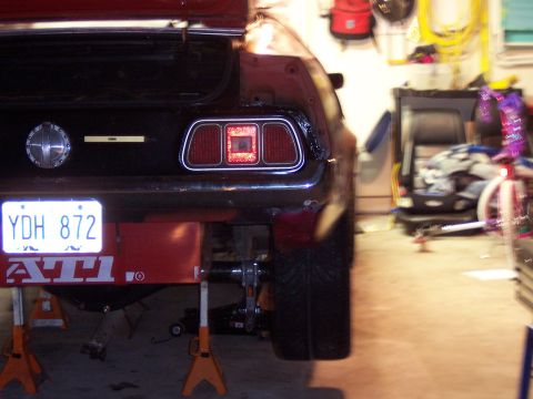 1971 Ford Mustang - Rear view of a 1971 Ford Mustang on jack stands, showing the taillights and license plate.