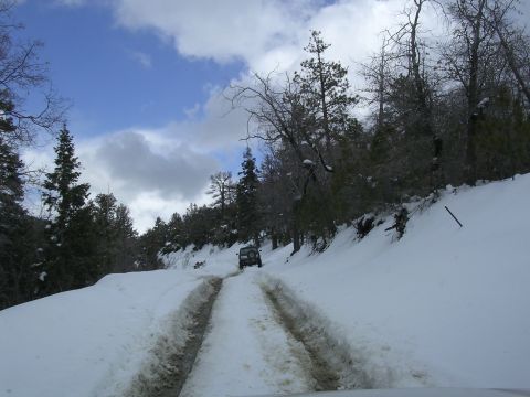 1999 Toyota Tacoma - A dark SUV navigates a snow-covered mountain road, leaving tire tracks behind.