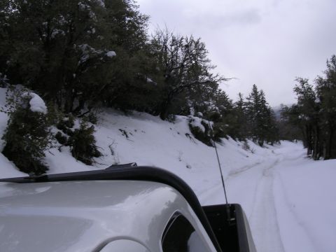 1999 Toyota Tacoma - A white truck navigates a snow-covered mountain road, with trees lining the path.