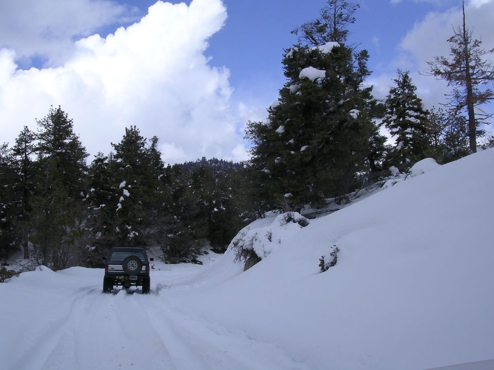 SUV with a spare tire on the back driving on a snow-covered road through a forest