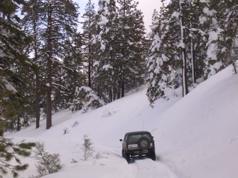 1999 Toyota Tacoma - A Toyota pickup truck navigates a snow-covered mountain path surrounded by pine trees.
