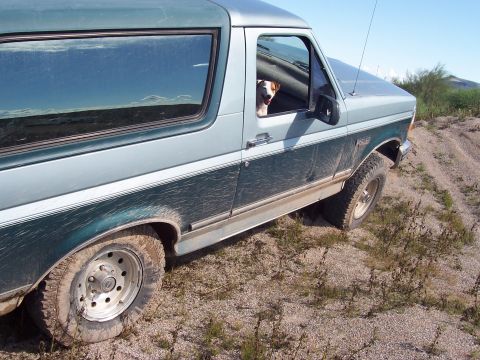 1996 Ford Bronco - A dog looks out the window of a 1996 Ford Bronco parked on a dirt path under a clear blue sky.