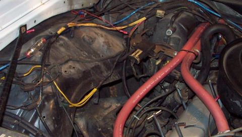 1985 Ford LTD Crown Victoria - Close-up view of engine bay wiring and red heater hoses, with visible text on one hose.