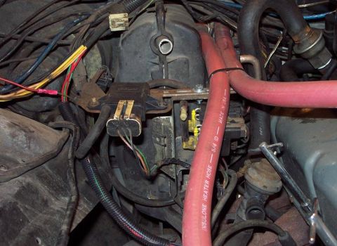 1985 Ford LTD Crown Victoria - Engine bay wiring and hoses, including red Insulone heater hose and various electrical connectors.