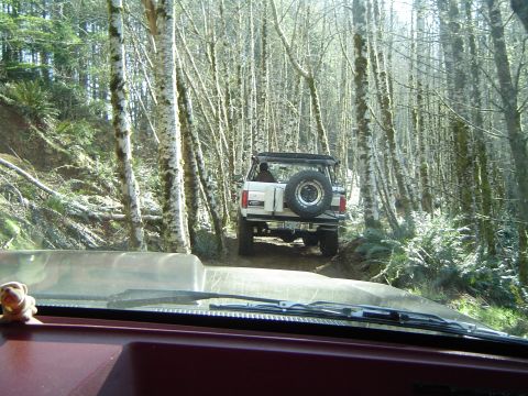 1989 Ford Bronco - Mark Z Heading for the mudhole on Firefox.