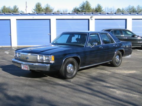 1991 Ford LTD Crown Victoria - A dark blue 1980s Ford Crown Victoria is parked outside storage units on a sunny day.