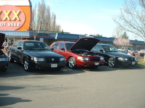 1999 Ford Crown Victoria - A trio of Ford Crown Victorias are gathered in a parking lot, with one red model displaying its engine.