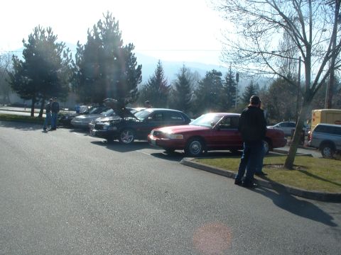 1999 Ford Crown Victoria - A group of Ford Crown Victorias are gathered in a parking lot on a sunny day.
