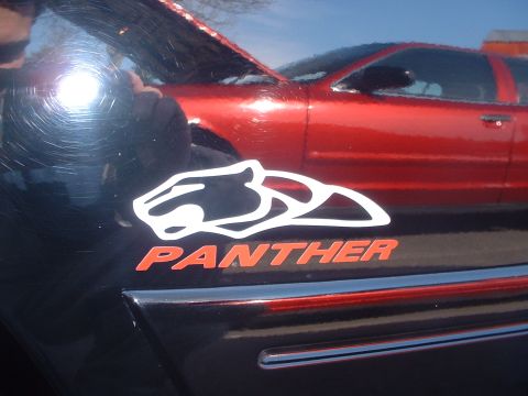 1999 Ford Crown Victoria - A red car with its hood open is parked next to a black car adorned with a panther sticker and the word "PANTHER".