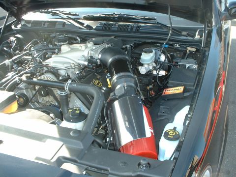 1999 Ford Crown Victoria - The engine bay of a car, an aftermarket air intake system and V8 engine components.