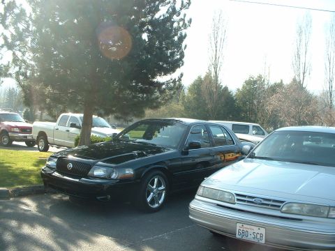 1999 Ford Crown Victoria - Two sedans, a black 1999 Ford Crown Victoria and a silver one, are parked outside.