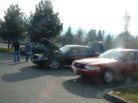 1999 Ford Crown Victoria - Two Ford Crown Victorias are parked side-by-side, one with its hood open, at an outdoor gathering.
