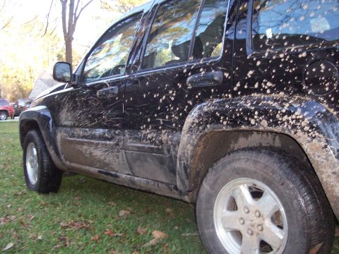 1989 Ford Bronco - This black SUV is heavily splattered with mud, suggesting off-road use. A red vehicle is partially visible in the background.