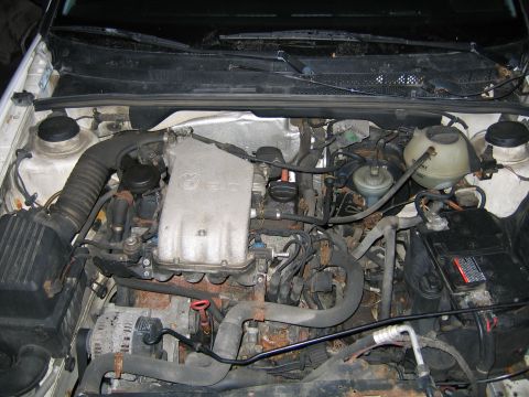 1989 Peugeot 405 “the pug”