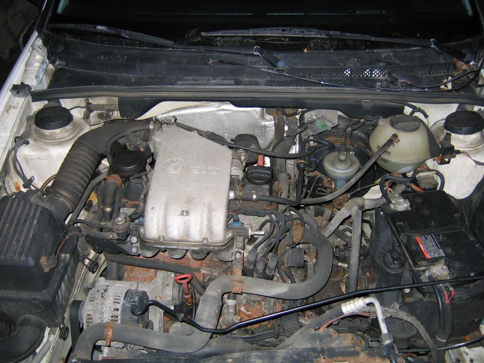 Engine bay of a Volkswagen, showing the engine, battery, and various hoses and wires