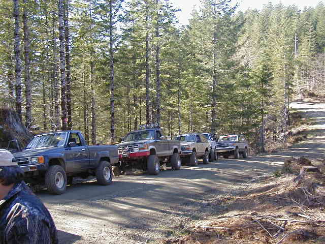 Blue and tan lifted 4x4 trucks lined up on a gravel forest road