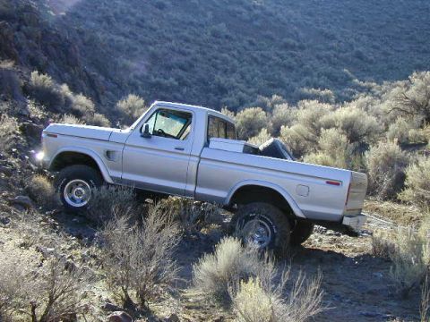 1978 Ford Bronco - Tree's F150
