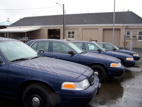 2001 Ford Crown Victoria - Several dark blue Ford Crown Victoria police cars are lined up outside a building.
