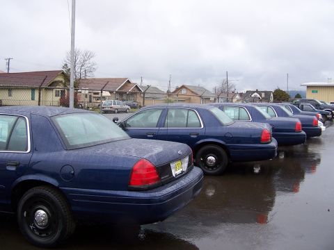2001 Ford Crown Victoria - A line of dark blue Ford Crown Victoria sedans are parked in a wet lot under an overcast sky.