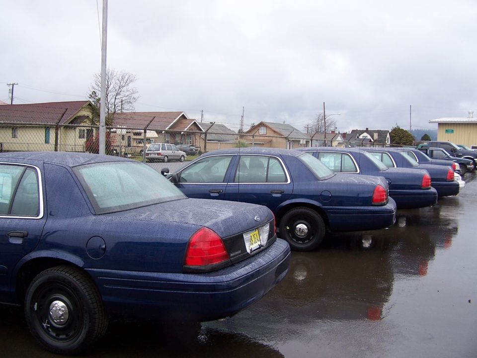 Several blue Ford Crown Victoria police cars parked in a lot on a cloudy day. One car is in the foreground, showing its rear