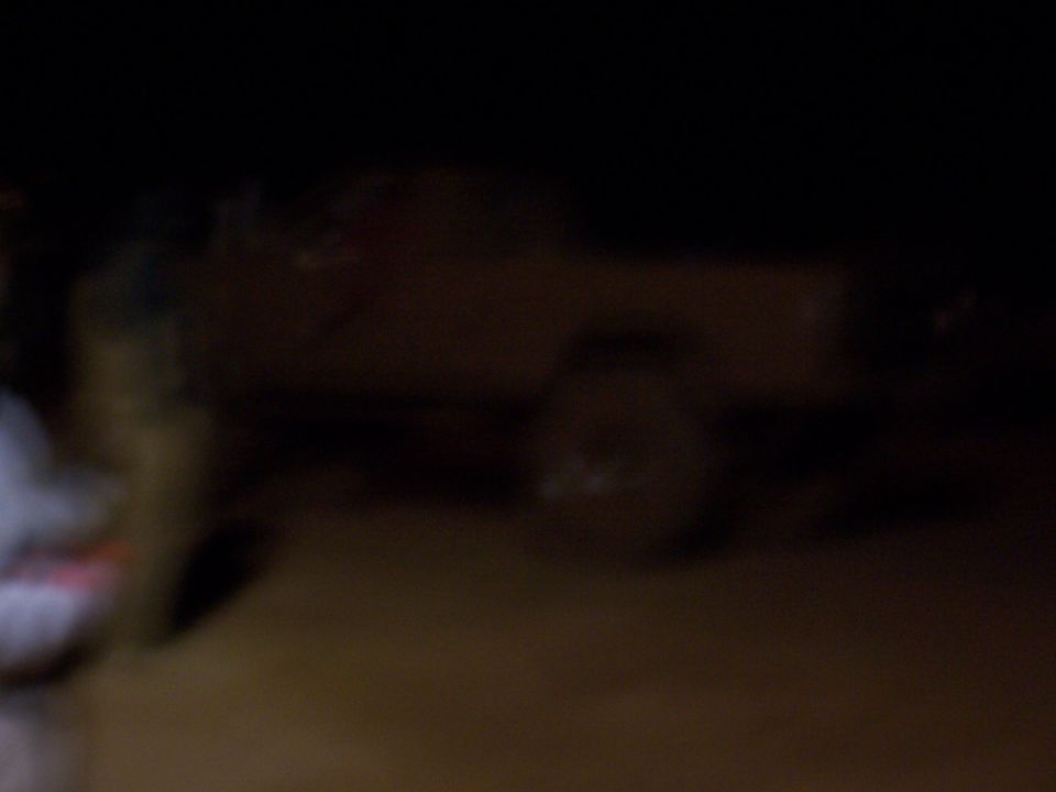 Blurry image of a truck side profile at night