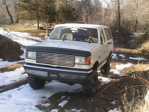 1989 Ford Bronco photo
