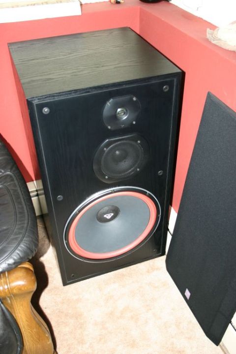 2003 Jeep TJ - A black speaker with a prominent woofer is shown in a room with red walls and carpet.