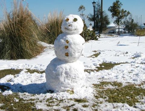 1999 Ford Crown Victoria - built a snowman-- 6 FEET tall in some random park on Ocean Drive