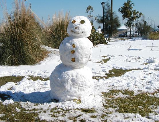 Snowman with leaf features on snowy grass near a waterfront with sailboat masts in background