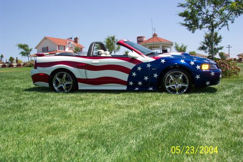 2002 Ford Mustang photo