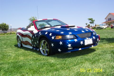 2002 Ford Mustang photo