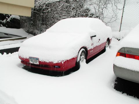 1992 Ford Taurus - More f'n snow to ckear off my car and shovel.
