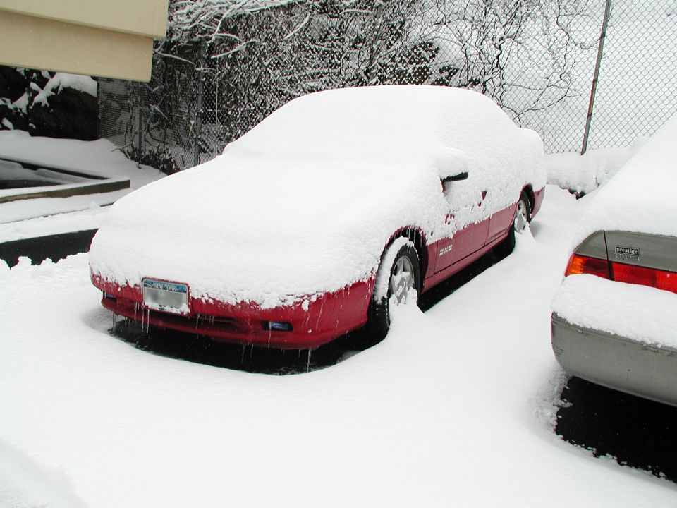 More f'n snow to ckear off my car and shovel.