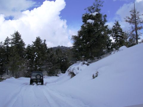 1985 Ford Bronco - A dark SUV navigates a snow-covered mountain road surrounded by pine trees under a cloudy sky.