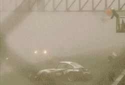 1990 Ford Probe - A car with racing decals is visible from the rear in foggy conditions.