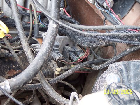 1987 Ford Bronco - Engine compartment wiring harness and connectors are visible in this close-up view.