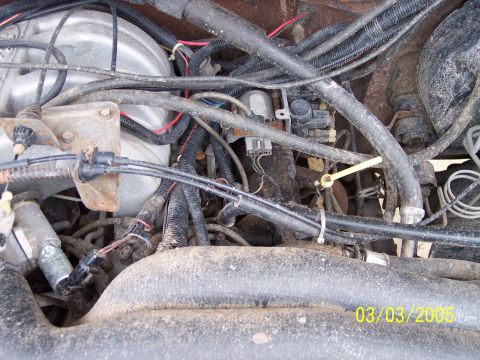 1987 Ford Bronco - Close-up view of a vehicle's engine compartment, showing various hoses and electrical wiring. A watermark indicates the photo was taken on…