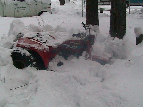 1981 Chevrolet C/K Pickup - A red Honda 200 ATV is mostly covered in snow, with only the handlebars and part of the body visible.