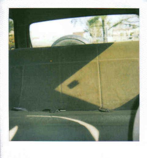 1995 Ford Bronco “Freebie”