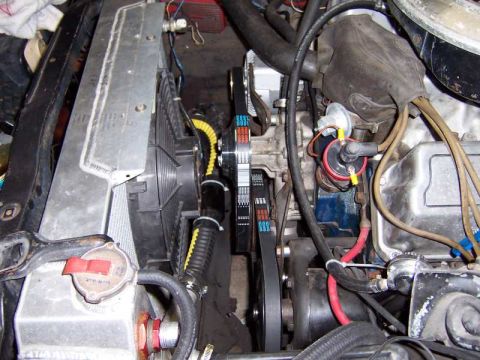 1971 Ford Mustang - serpentine belt pics