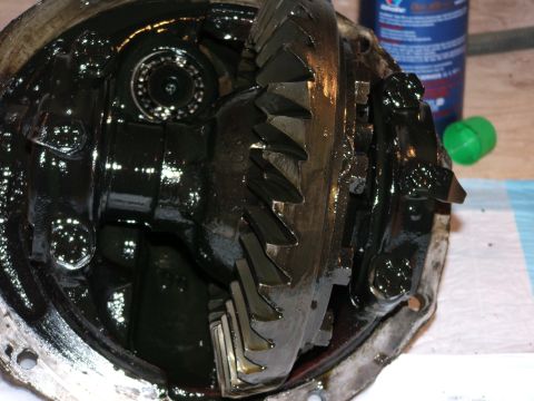 1980 Ford Bronco - Broken ring gear teeth(go to full size to realy get a good look)