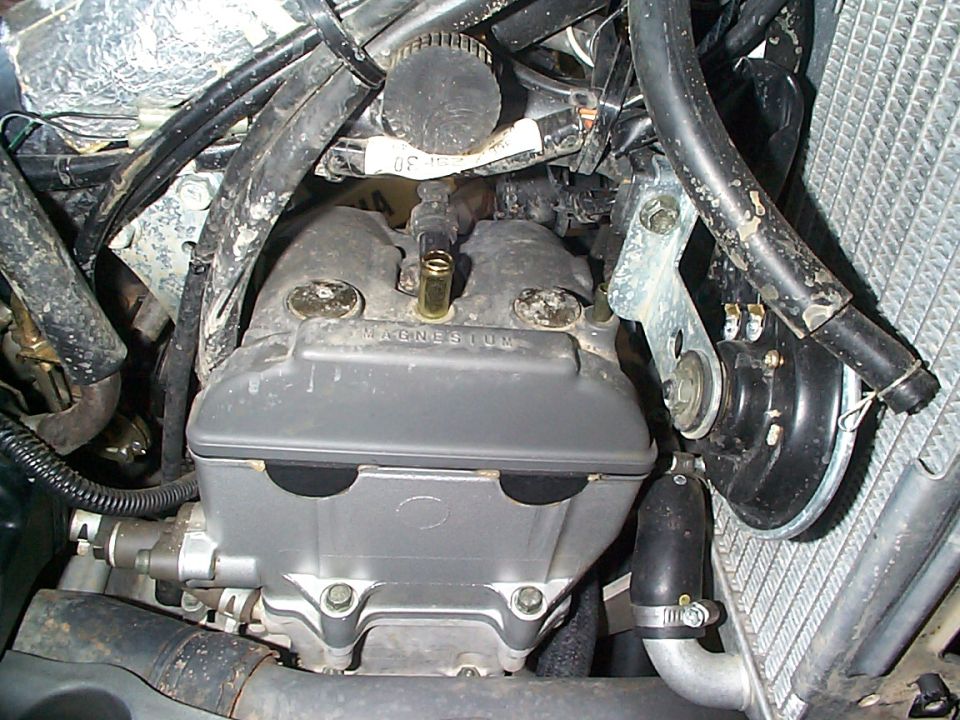 Motorcycle engine top end with 'MAGNESIUM' cover, hoses and radiator