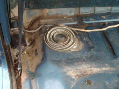 1984 Ford Bronco - A non-poisonous snake has round eyes, but you have to get close to see them!