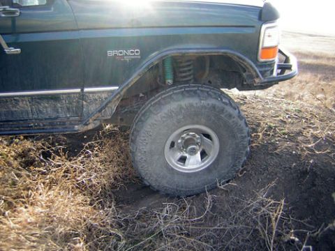 1995 Ford Bronco - This 1995 Ford Bronco is shown in a side profile, equipped with large off-road tires and suspension.