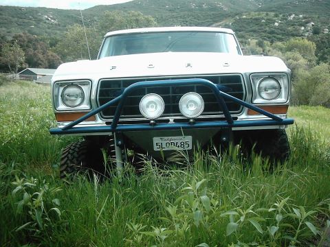 1978 Ford Bronco - This Ford F-Series truck, likely from the late 1970s, is equipped with a custom bull bar and auxiliary lights.