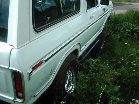 1978 Ford Bronco - This 1978 Ford Bronco is parked off-road, with its side visible amongst the tall green grass.