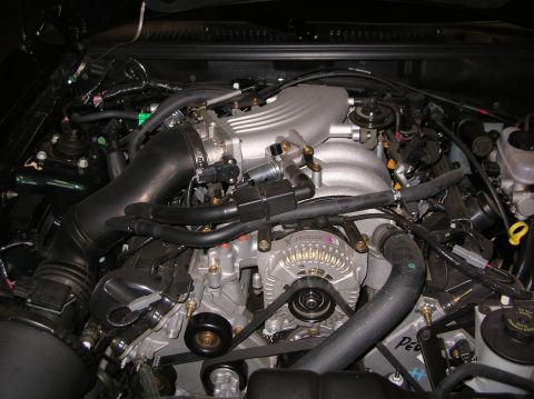 2001 Ford Mustang photo